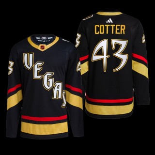 Vegas Golden Knights 2022 Reverse Retro 2.0 Jersey Paul Cotter Black #43 Primegreen Authentic Uniform